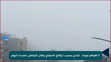 5 ظواهر جوية.. تحذير بسبب ارتفاع الأمواج يطال شواطئ محددة اليوم